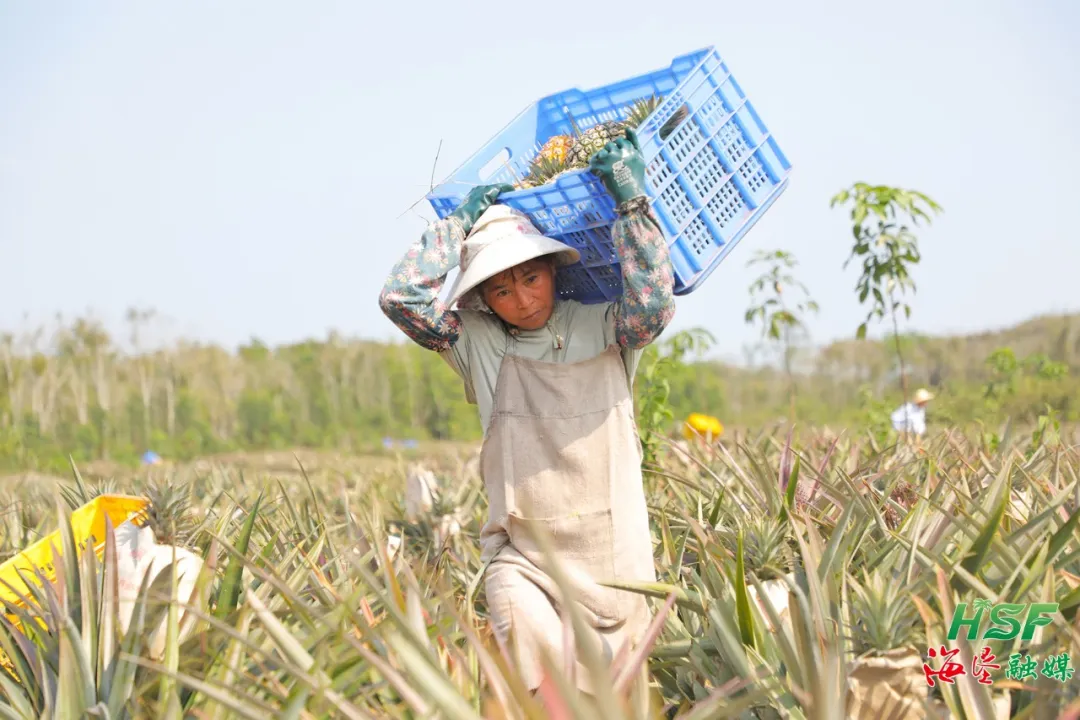 ���������������������з�����