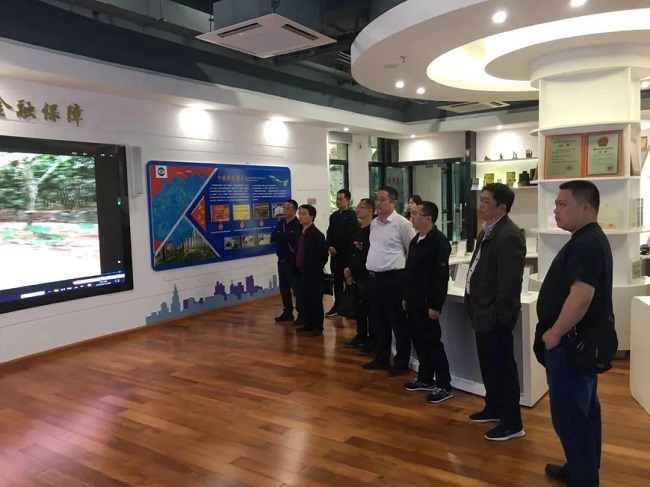 ����yl23455����