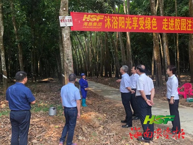 ����yl23455����