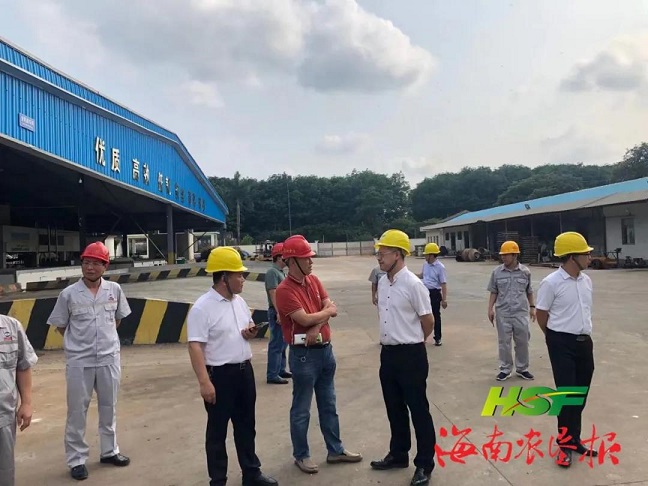 ����yl23455����