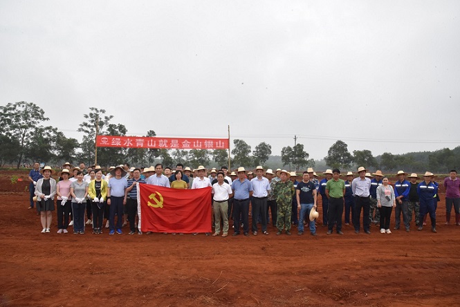 ����yl23455����