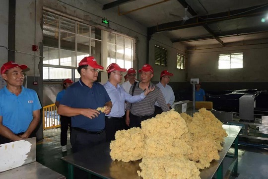 ����yl23455����