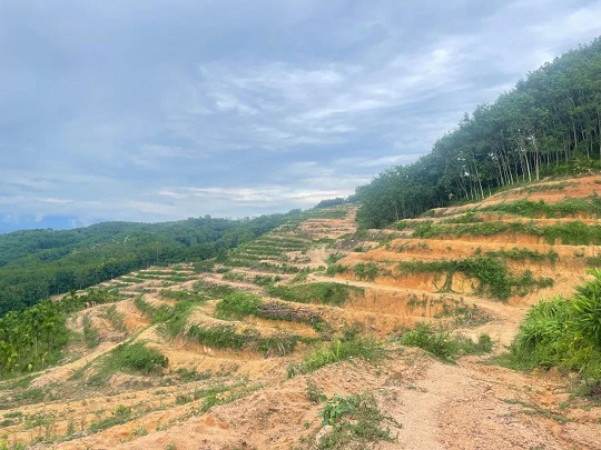 ����yl23455����