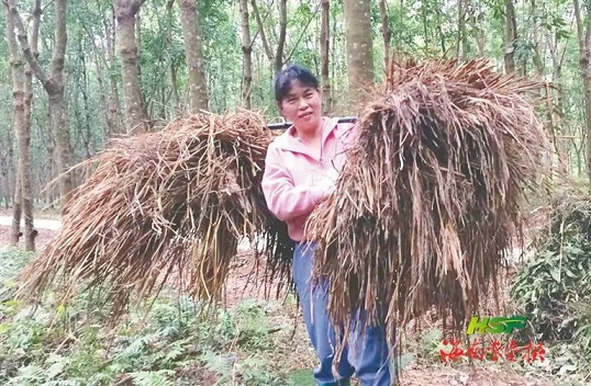 ����yl23455����