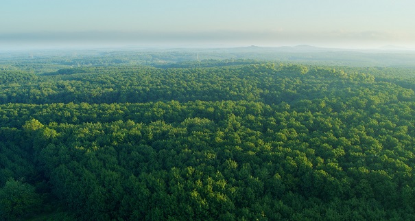 ����yl23455����