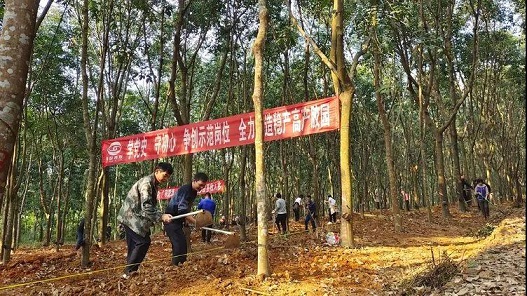 ����yl23455����