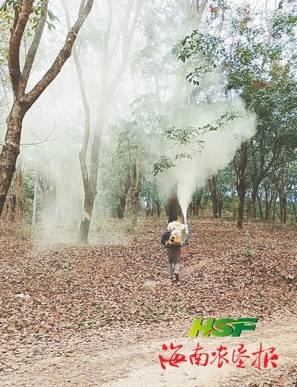 ����yl23455����