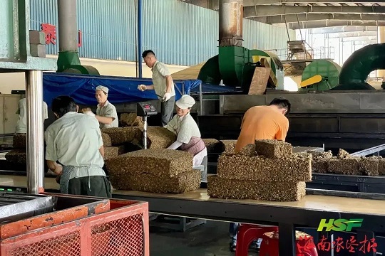 ����yl23455����