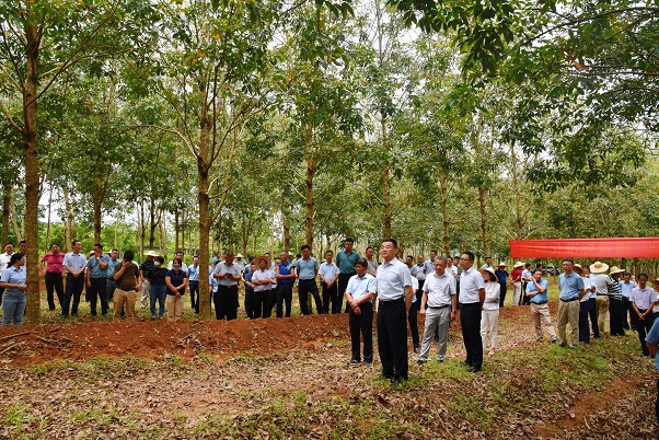 ����yl23455����