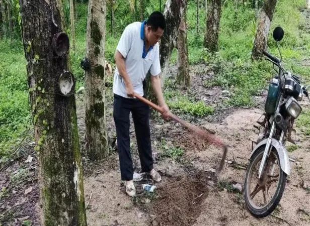 ����yl23455����