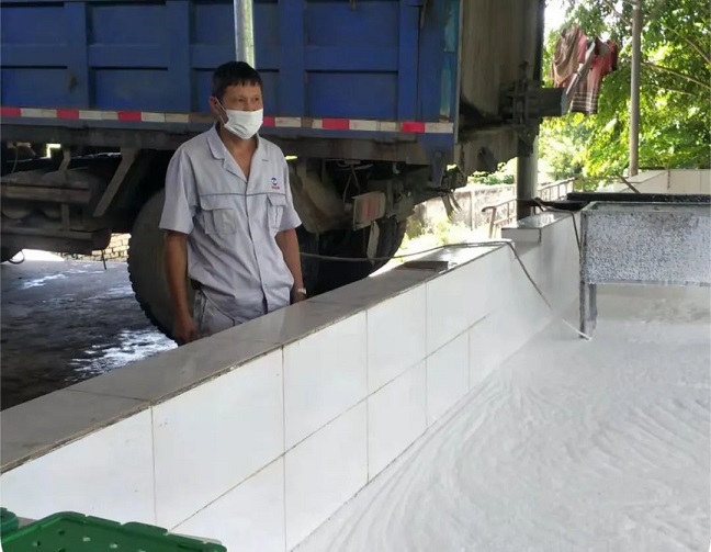 ����yl23455����