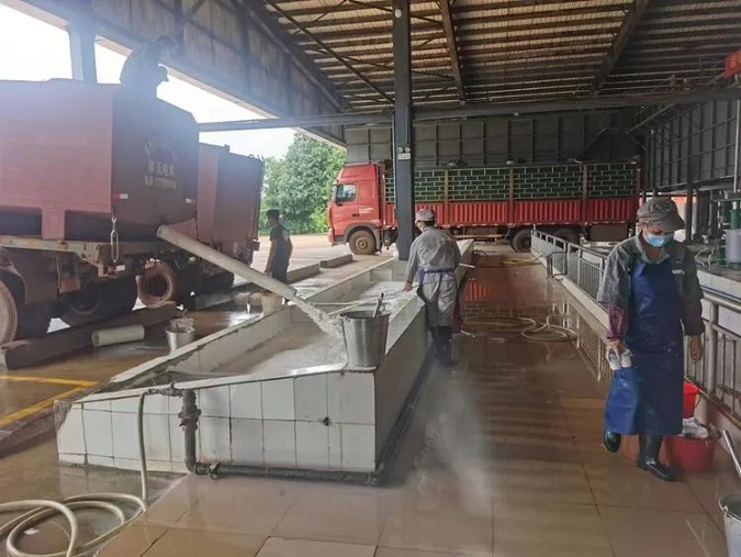 ����yl23455����