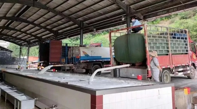 ����yl23455����