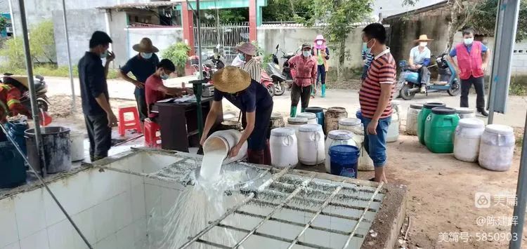 ����yl23455����