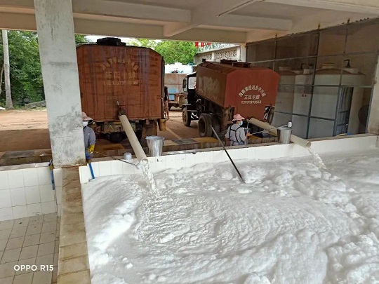 ����yl23455����