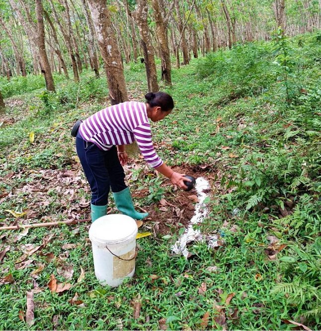 ����yl23455����