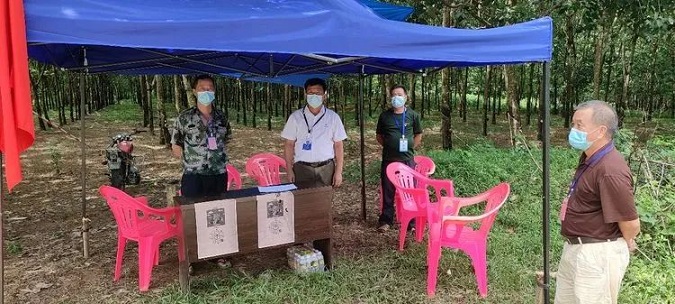 ����yl23455����