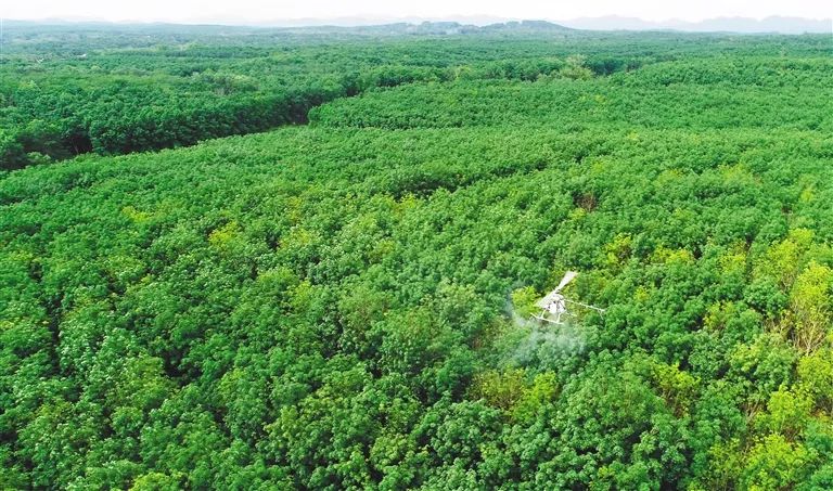 ����yl23455����