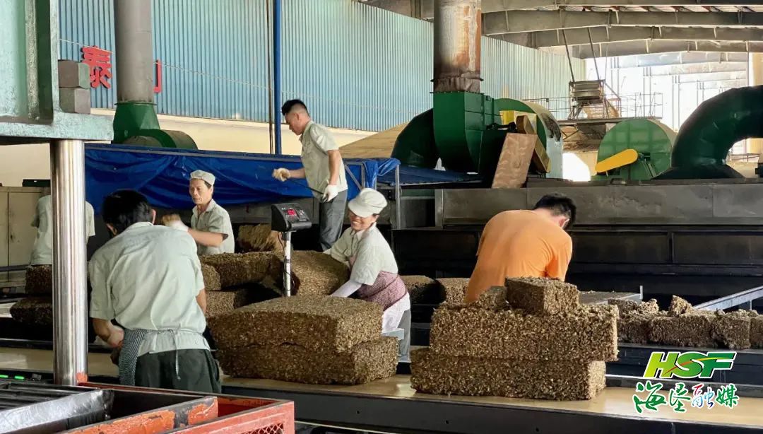 ����yl23455����