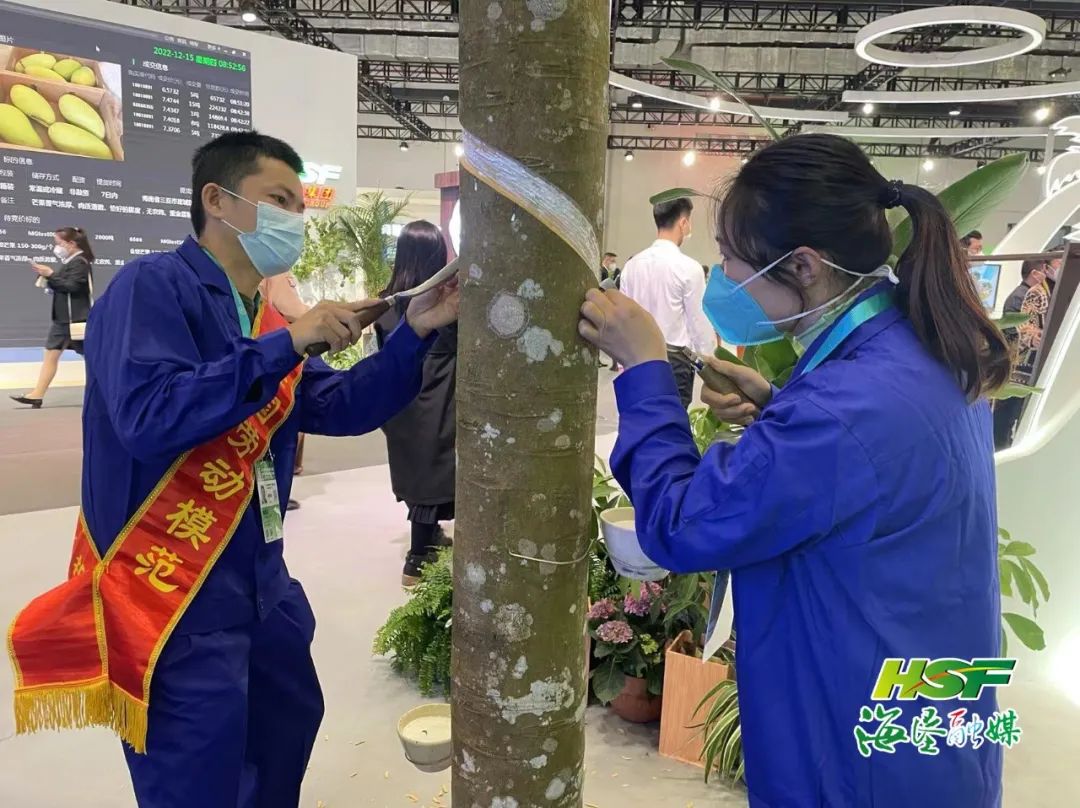 ����yl23455����