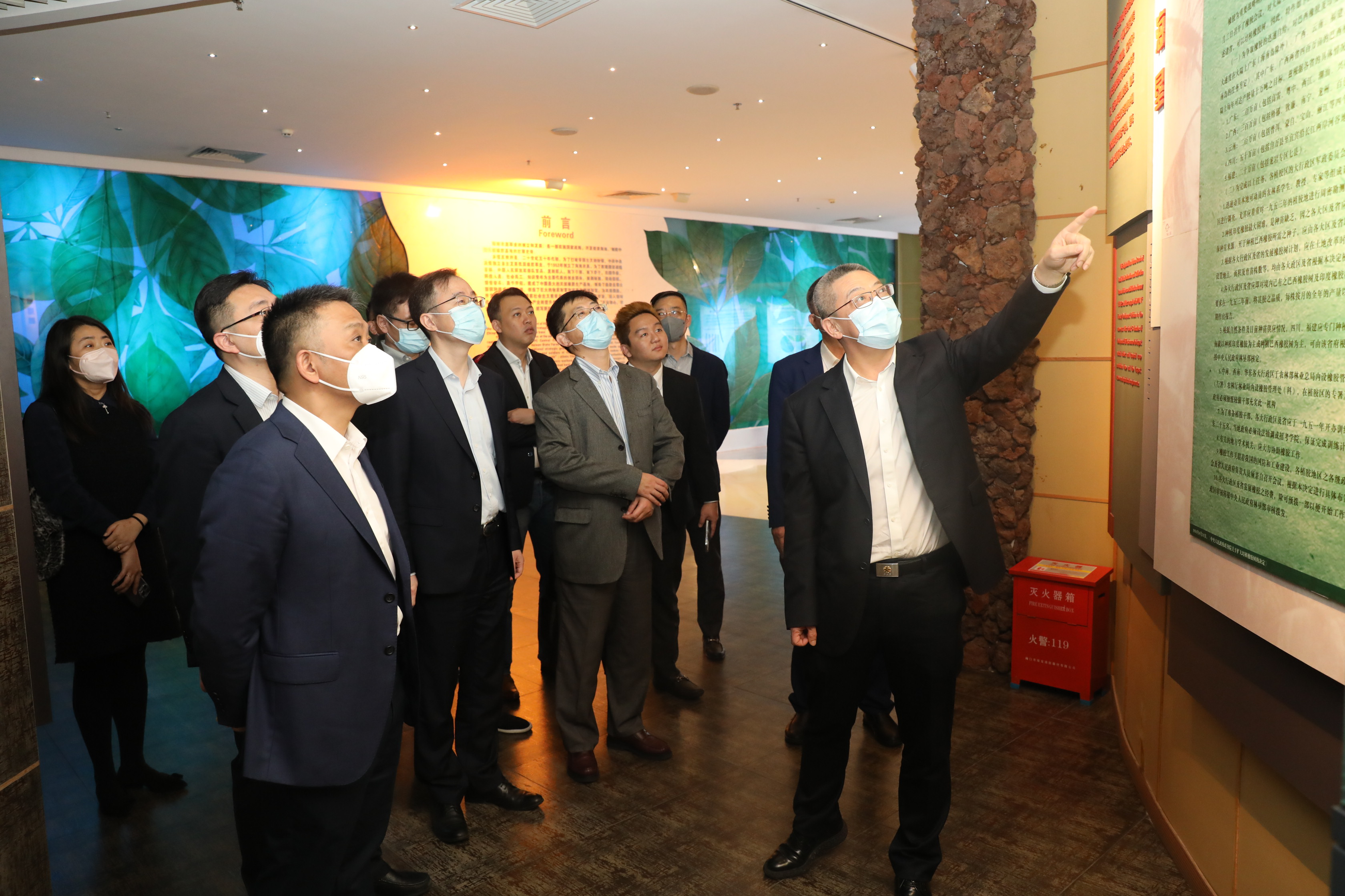 ����yl23455����