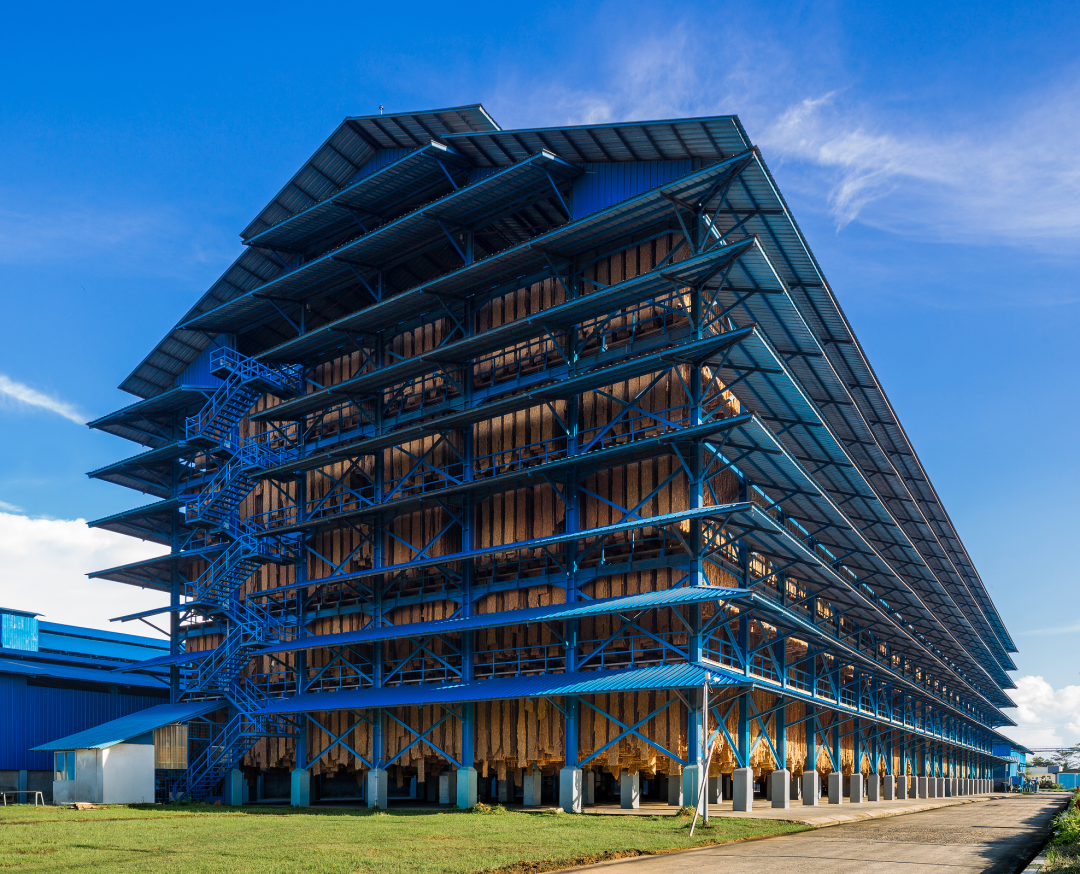 ����yl23455����