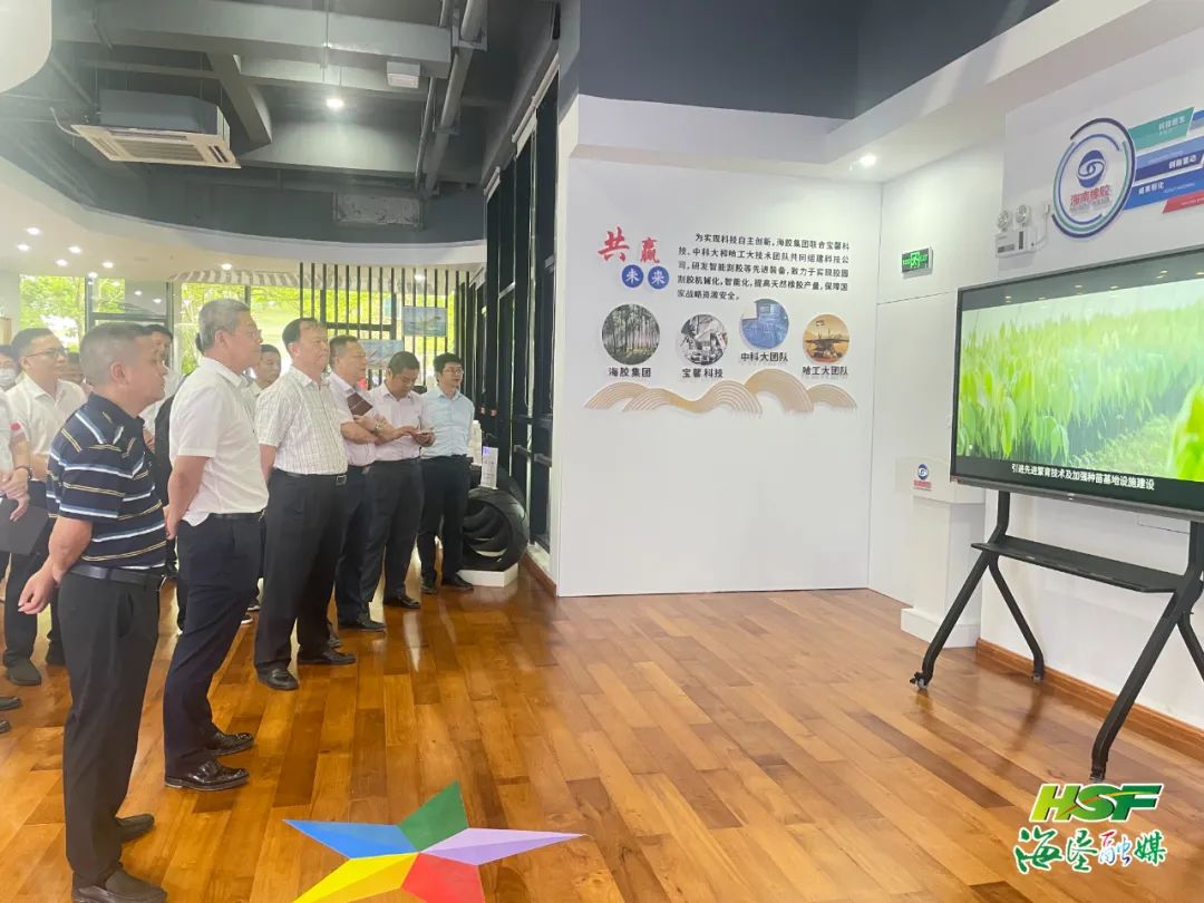 ����yl23455����