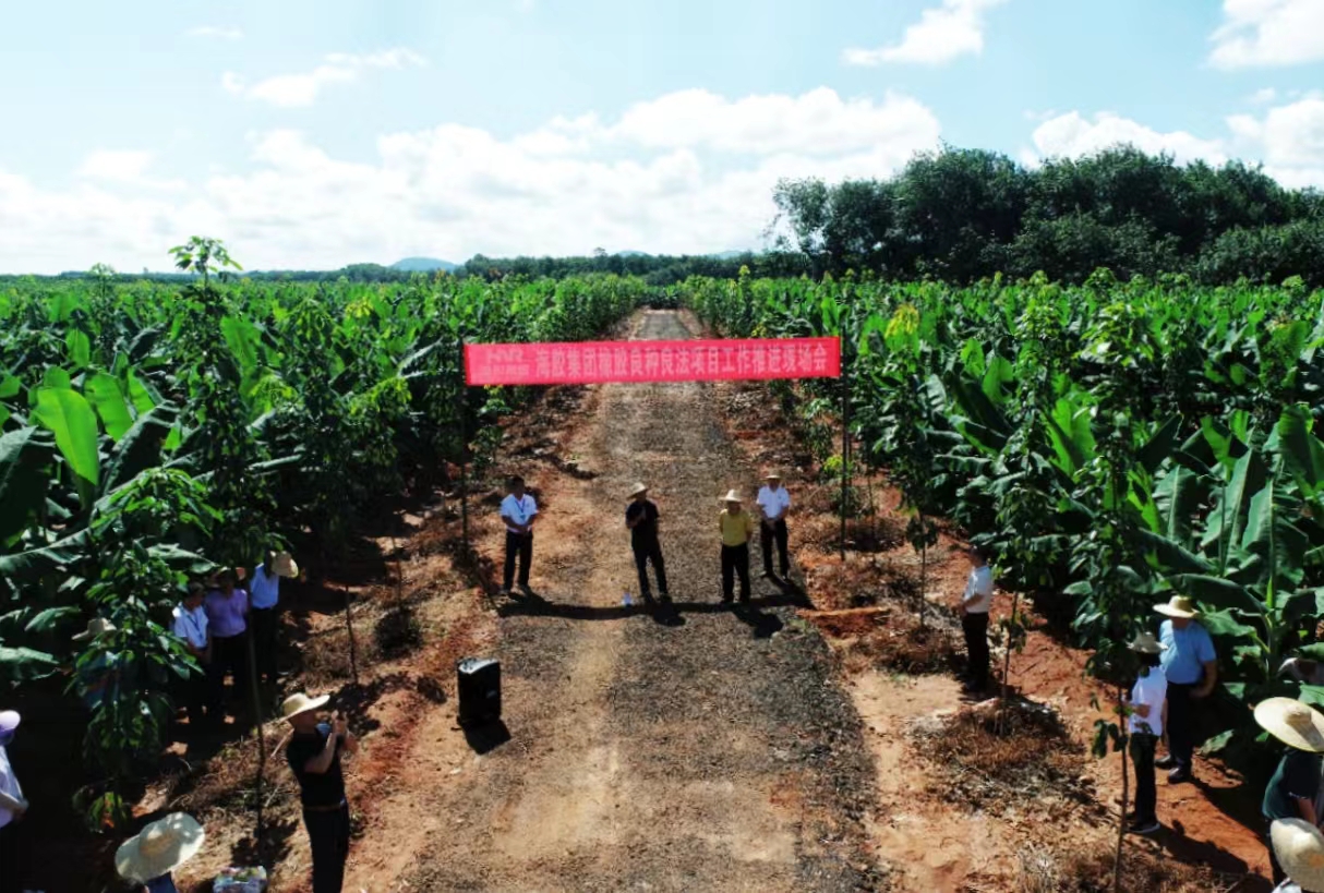 ����yl23455����