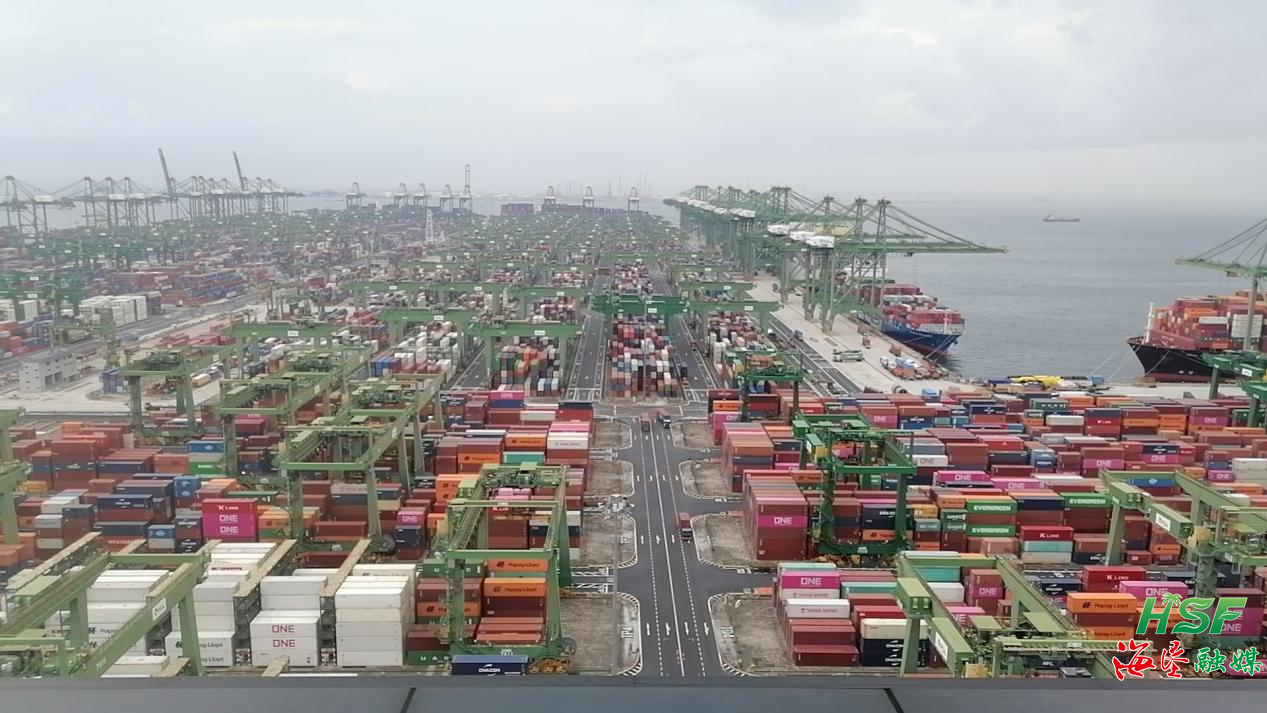 ����yl23455����