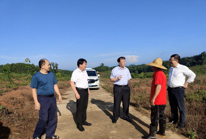 ����yl23455����