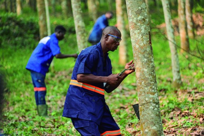 ����yl23455����