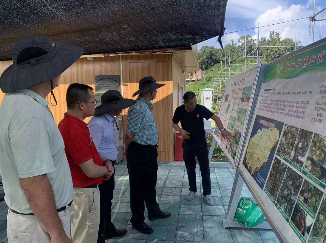 ����yl23455����